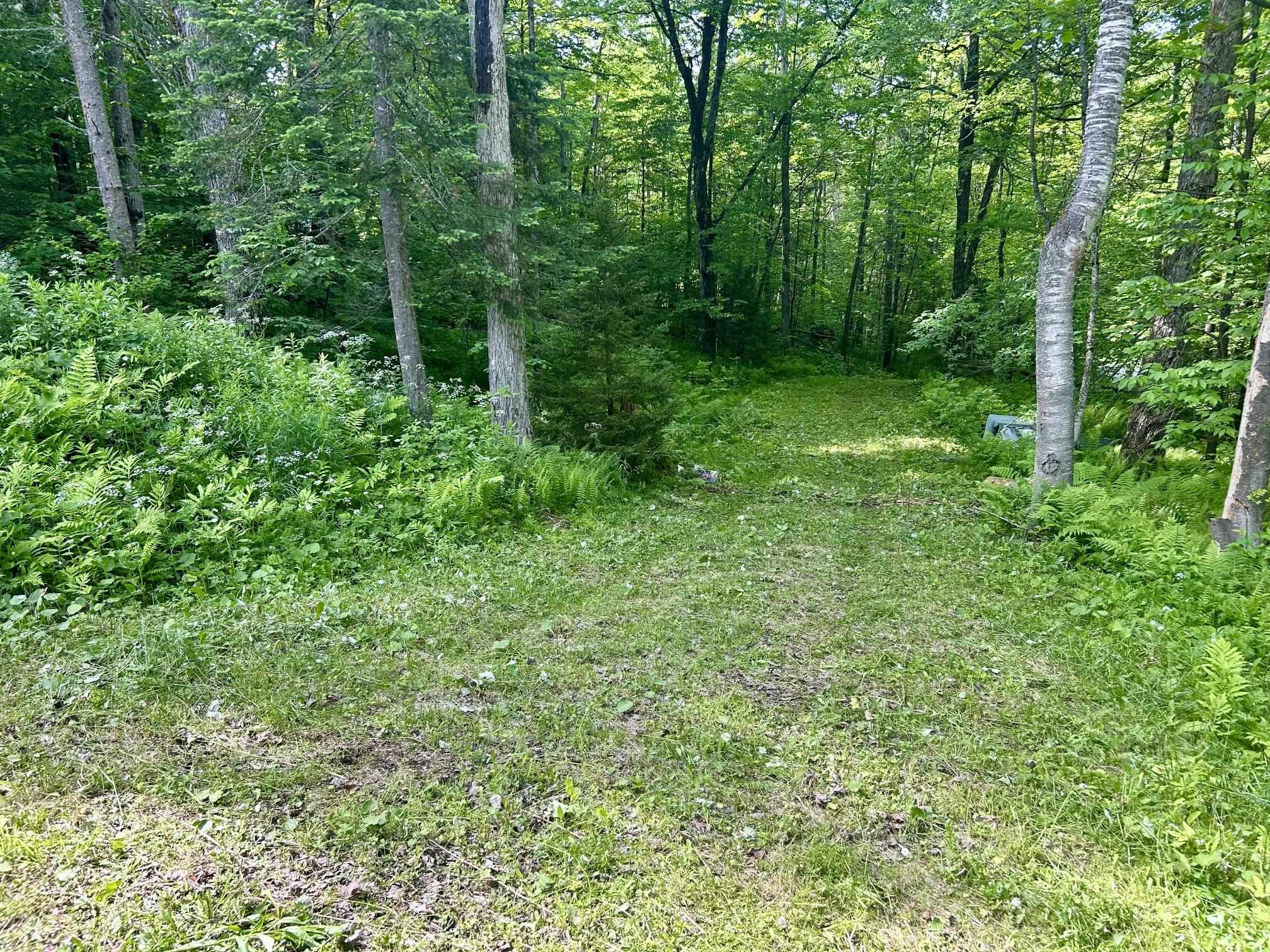 0 Williamstown Road Chelsea, VT 05038 - Photo 6 of 22