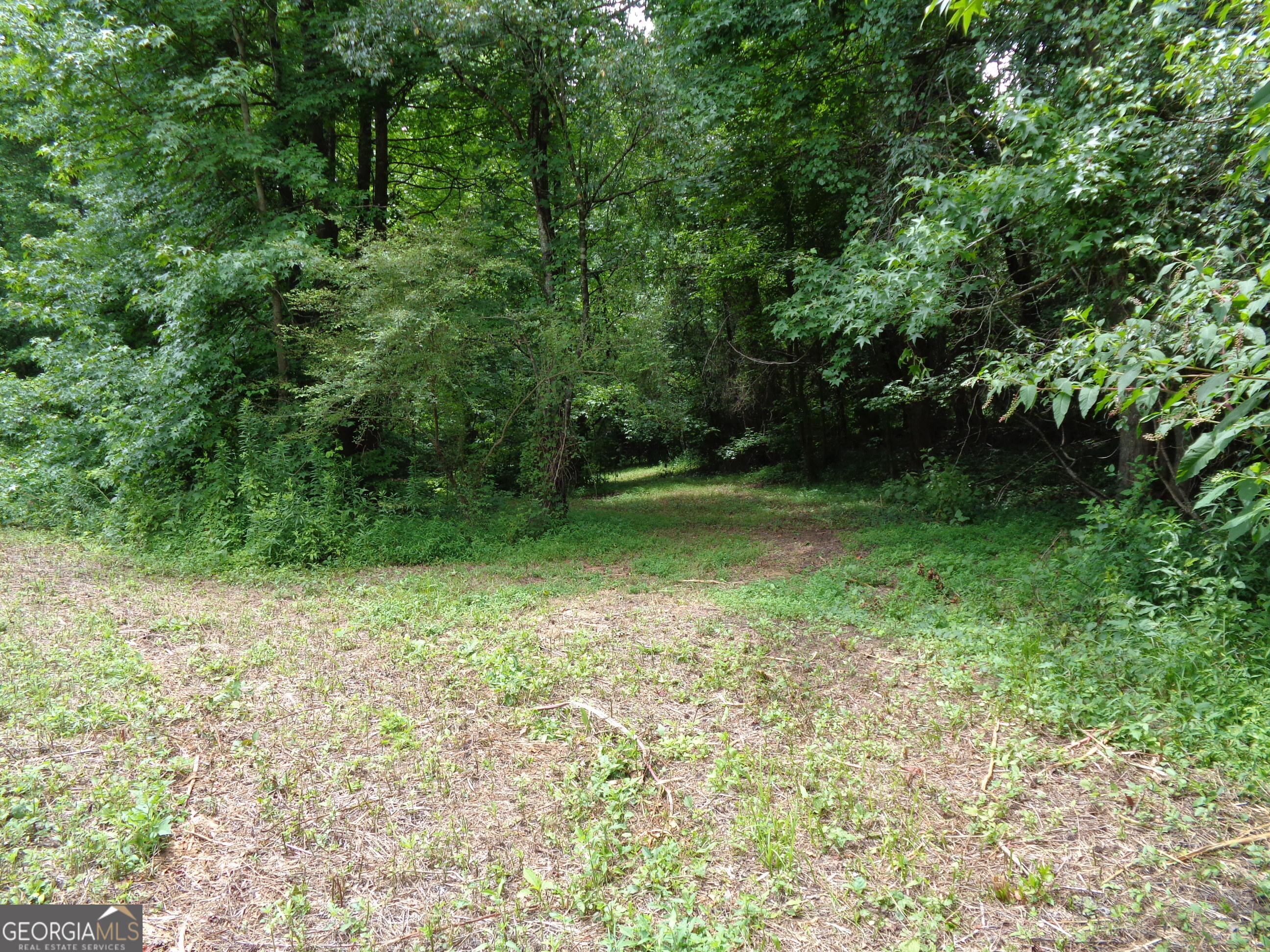 2411 Kesler Road Carnesville, GA 30521 - Photo 47 of 61