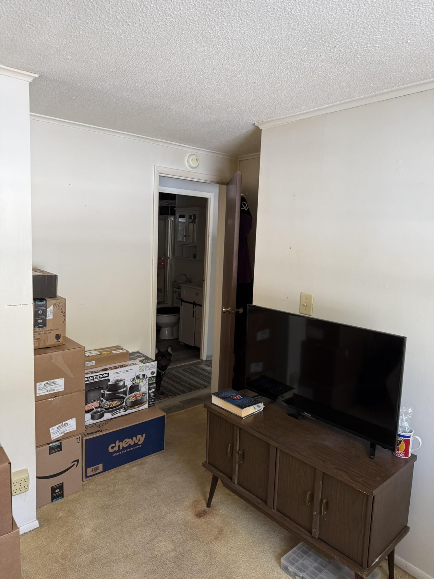 8493 West 5 Mile Road Irons, MI 49644 - Photo 12 of 21 IMG_6280