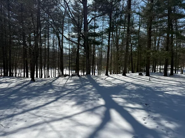 $205,000 | 8493 West 5 Mile Road, Irons, MI 49644