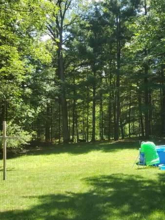 $205,000 | 8493 West 5 Mile Road, Irons, MI 49644