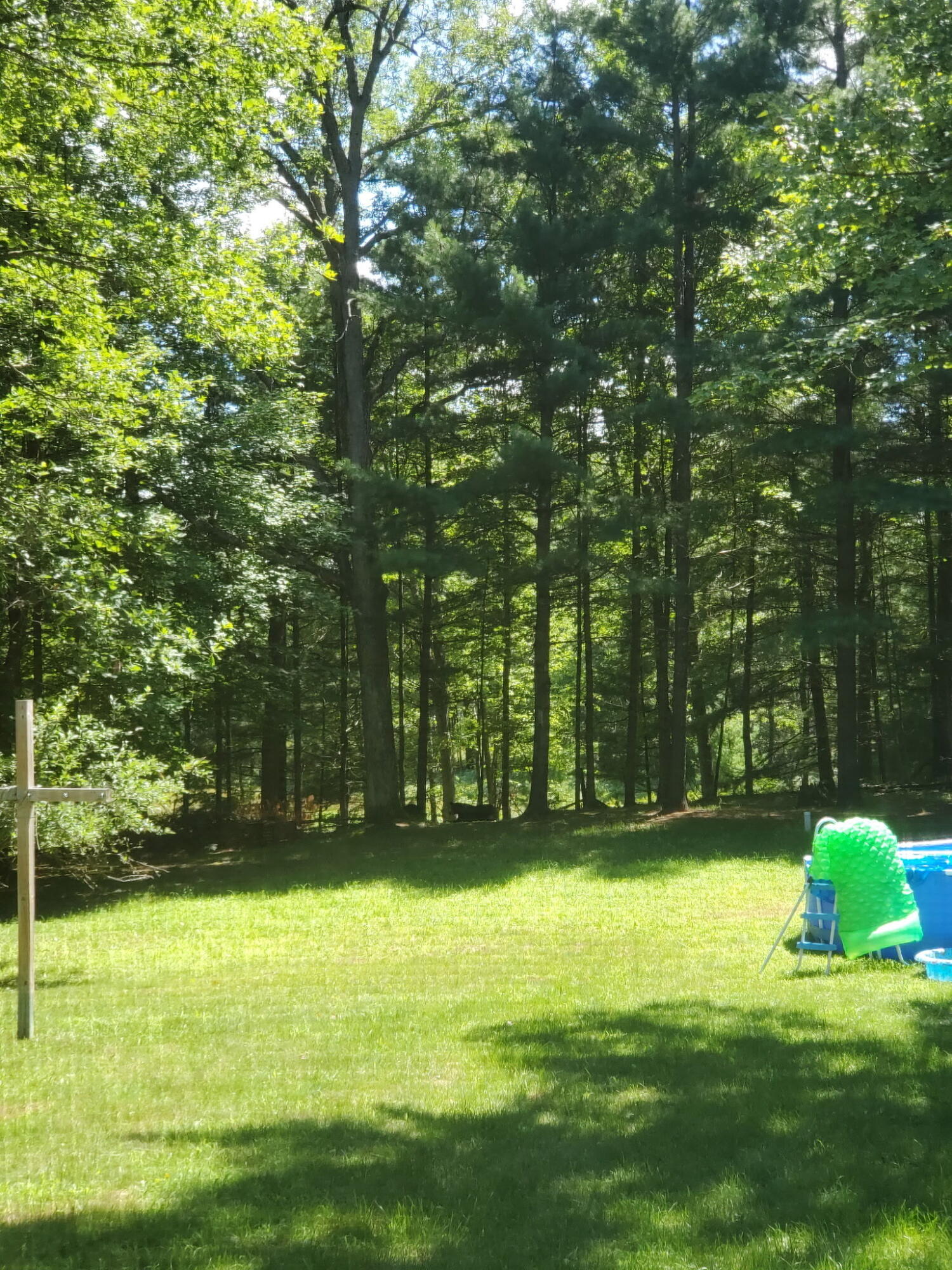 8493 West 5 Mile Road Irons, MI 49644 - Photo 20 of 21 6584560559820082078