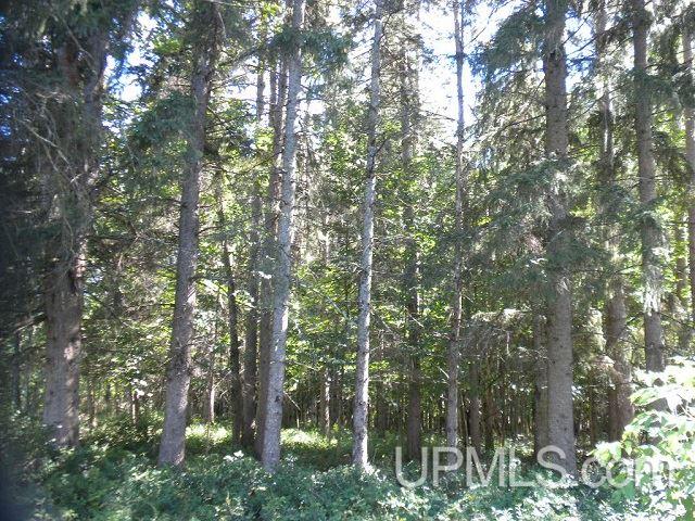E5203 Sunset Road Ironwood, MI 49938 - Photo 22 of 33