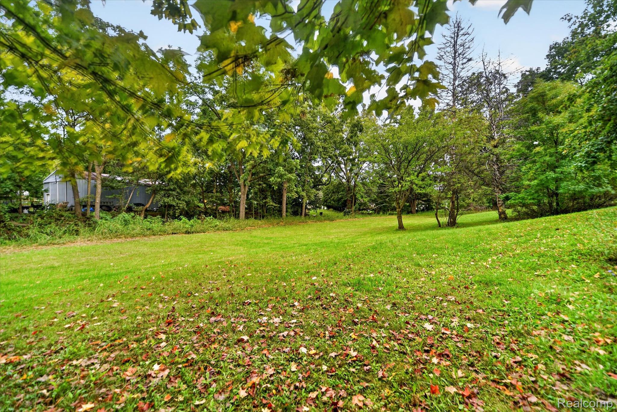 1730 Haslett Road Haslett, MI 48840 - Photo 30 of 31 Expansive grassy area with mature foliage