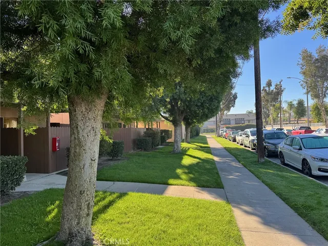 a view of a park with large trees