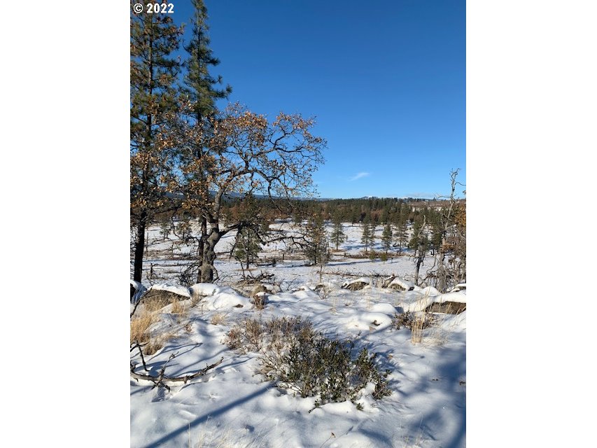 275 Old Stage Road, Unit 1 Goldendale, WA 98620 - Photo 12 of 16 Gallery Image 12