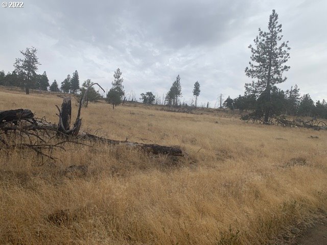 275 Old Stage Road, Unit 1 Goldendale, WA 98620 - Photo 3 of 16 Gallery Image 3
