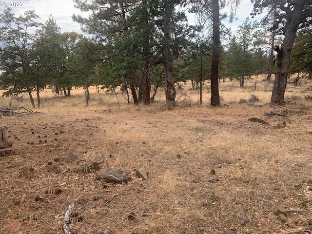 275 Old Stage Road, Unit 1 Goldendale, WA 98620 - Photo 5 of 16 Gallery Image 5