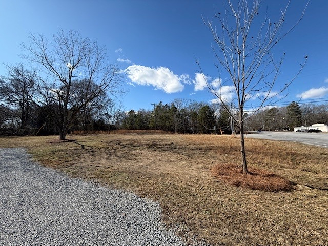 1210 Flat Rock Road Starr, SC 29684 - Photo 8 of 19