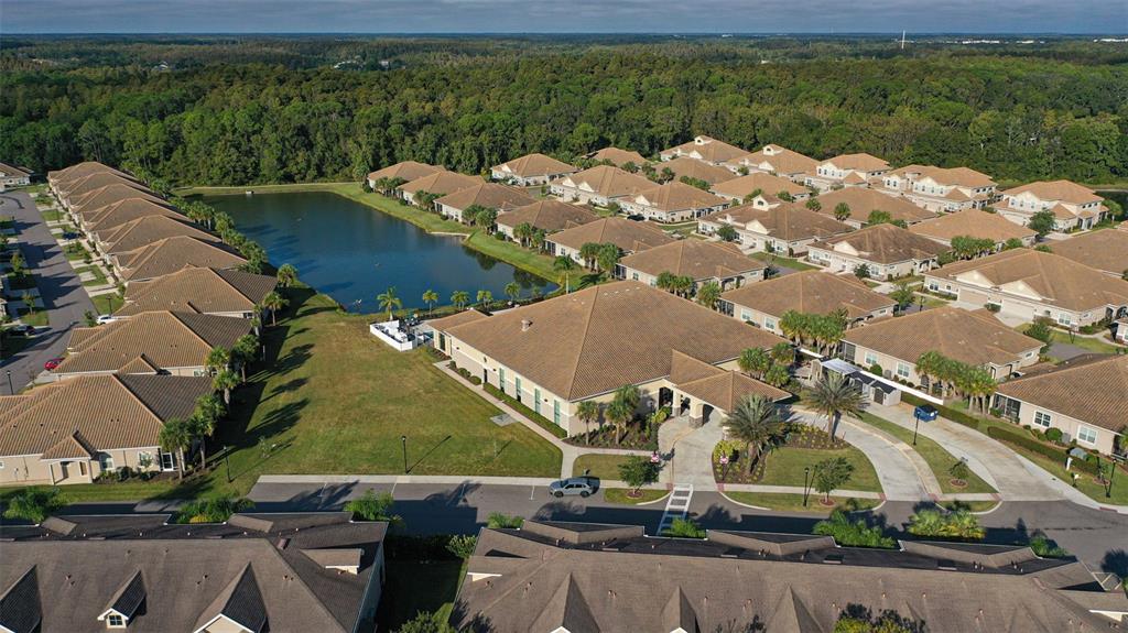 1231 Godavari Way, Unit 101 Wesley Chapel, FL 33543 - Photo 32 of 36 an aerial view of a house with a yard