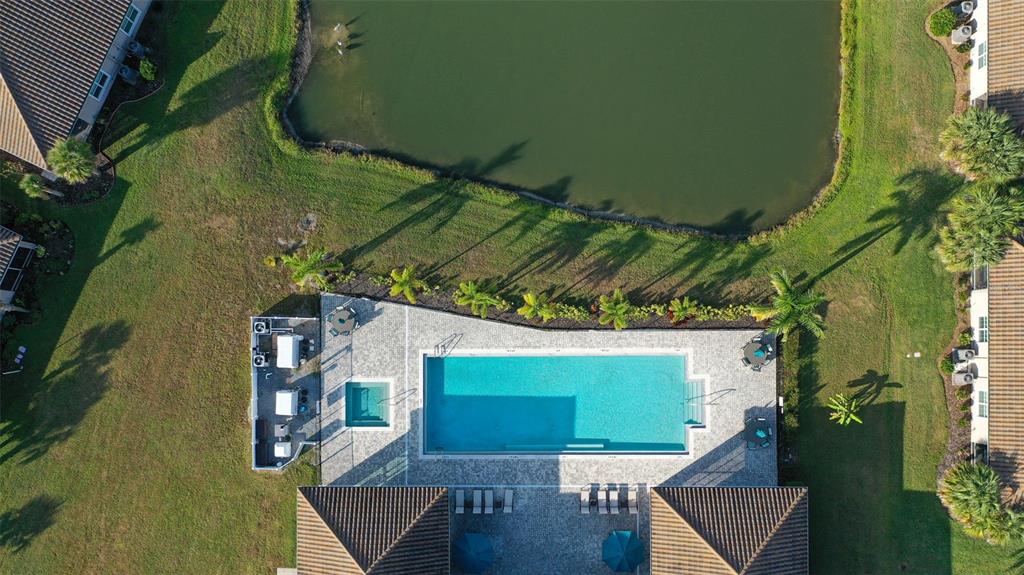 1231 Godavari Way, Unit 101 Wesley Chapel, FL 33543 - Photo 33 of 36 an outdoor view of garden