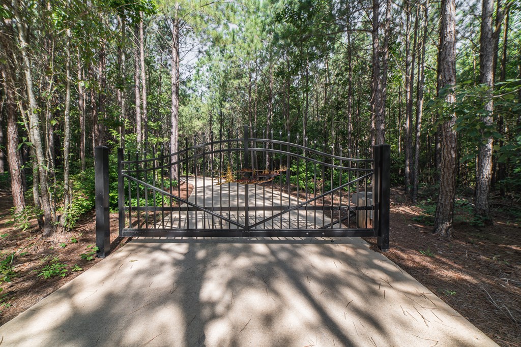 1300 Harris Road Ellerslie, GA 31807 - Photo 3 of 75 Gallery Image 3