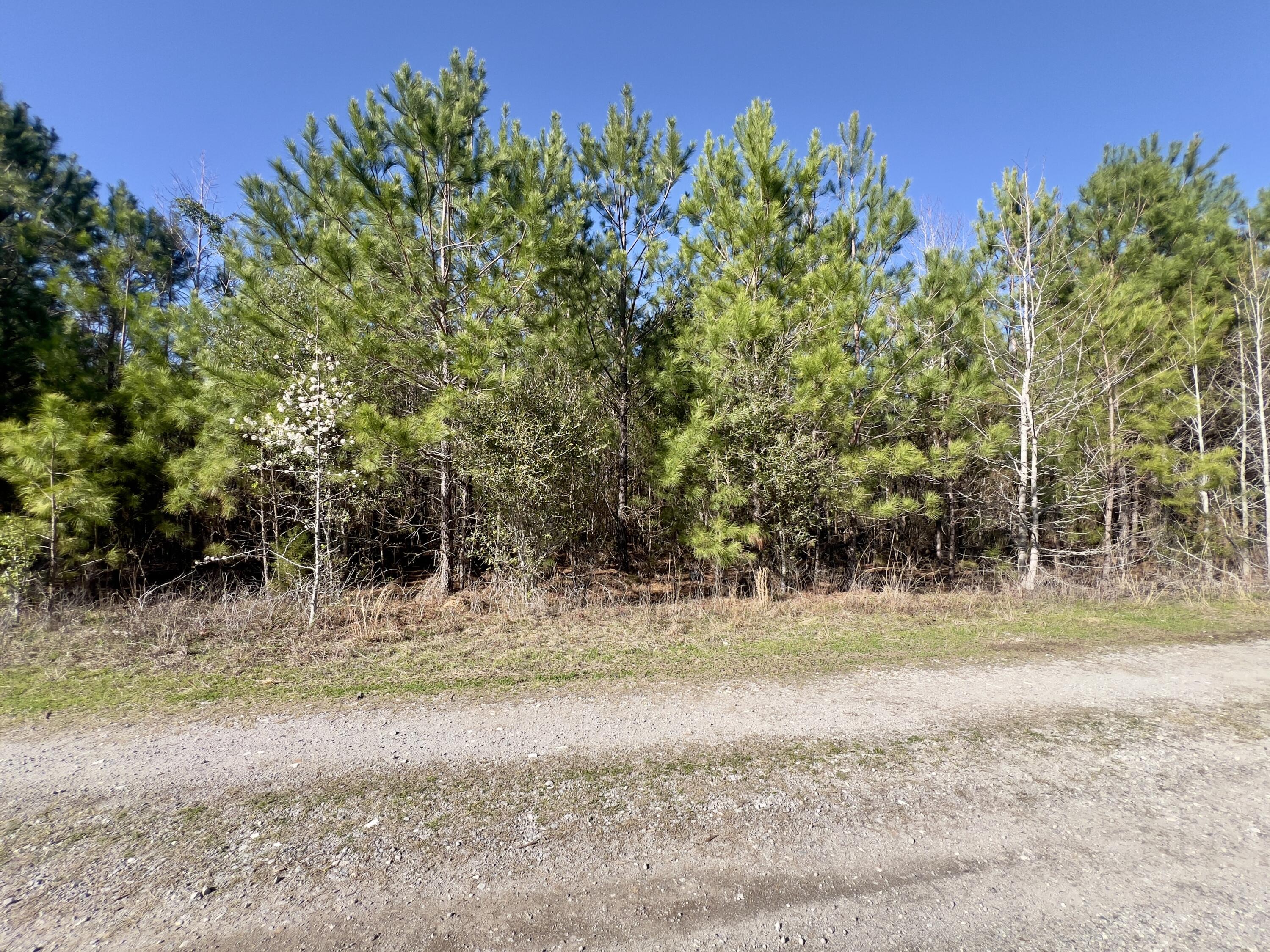 8 Devine Way Cross, SC 29436 - Photo 1 of 4 IMG_5632