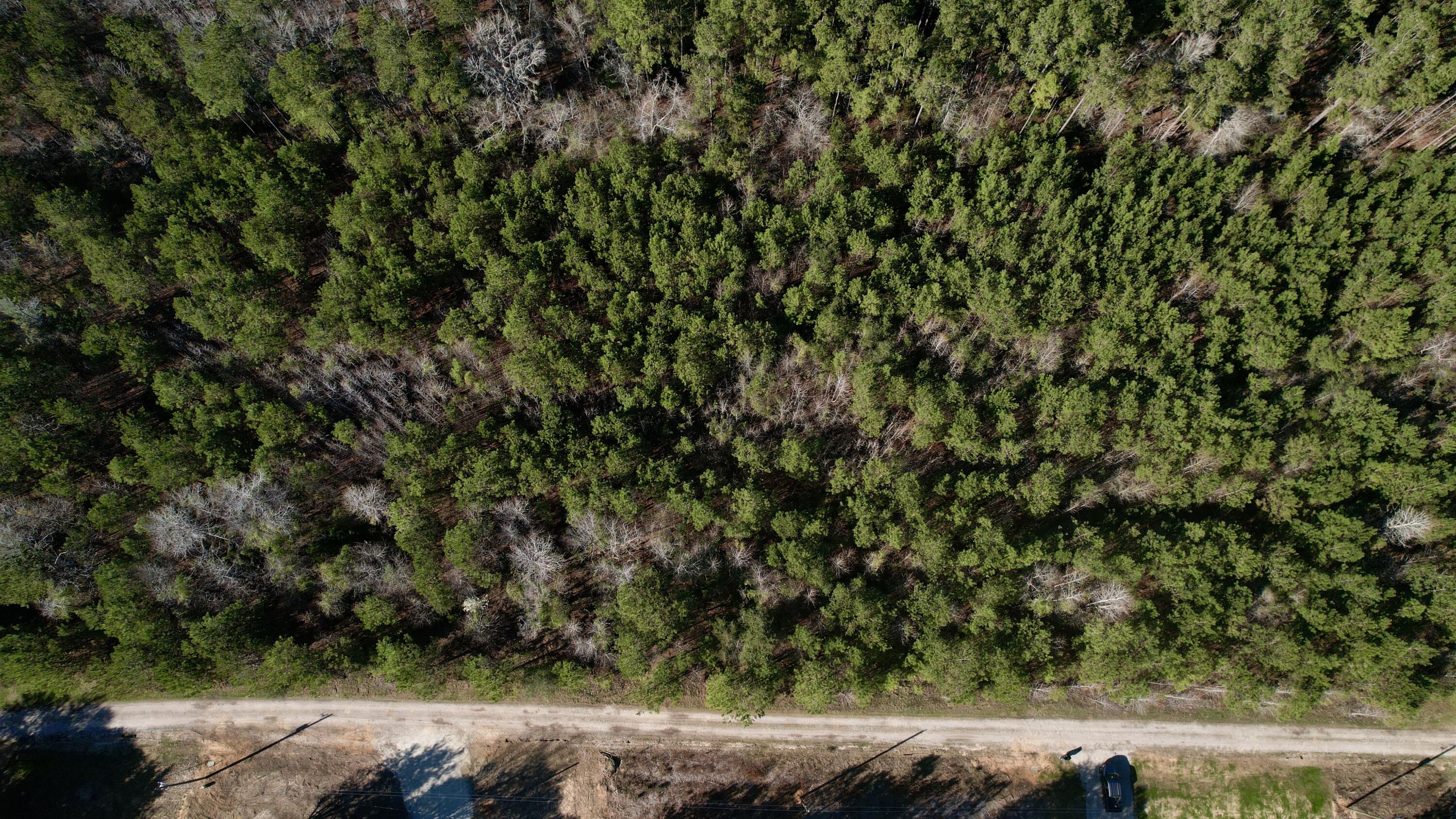 8 Devine Way Cross, SC 29436 - Photo 3 of 4 DJI_0202