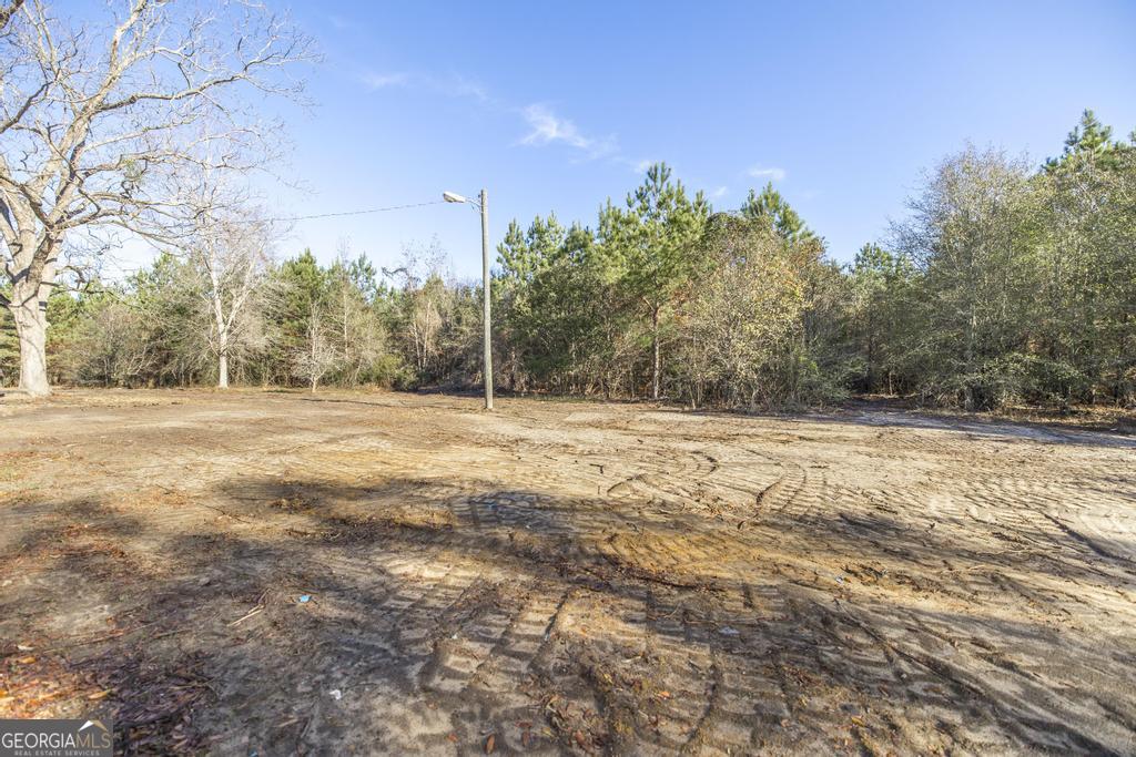 1169 Chester Alamo Highway Chester, GA 31012 - Photo 15 of 53