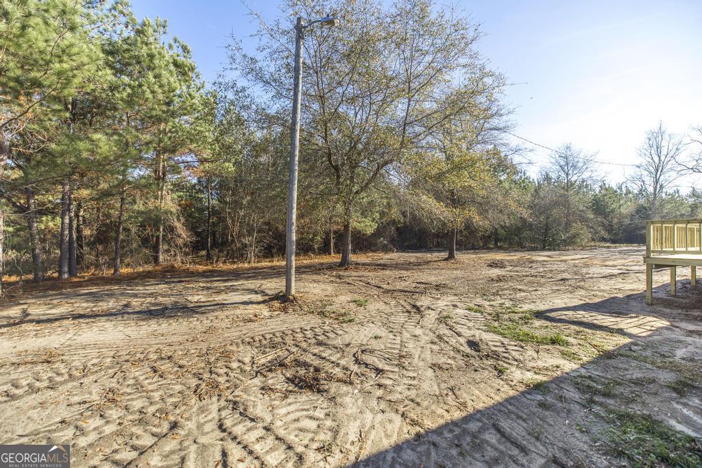 1169 Chester Alamo Highway Chester, GA 31012 - Photo 33 of 53