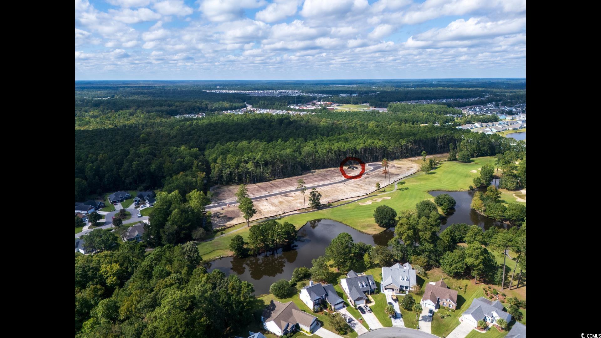 9687 Indigo Creek Boulevard Murrells Inlet, SC 29576 - Photo 2 of 23