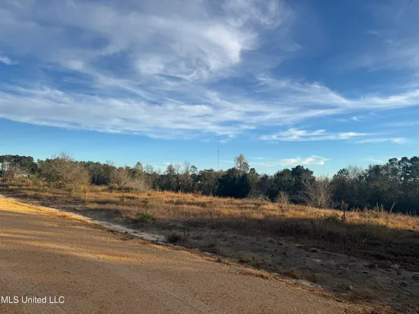 $157,000 | 15-acres 15-acres Parker Road, McHenry, MS 39561