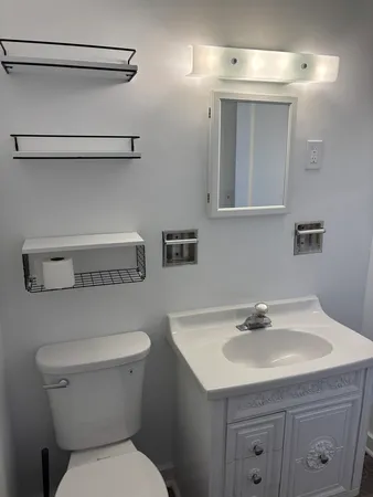 a bathroom with a sink a toilet and mirror