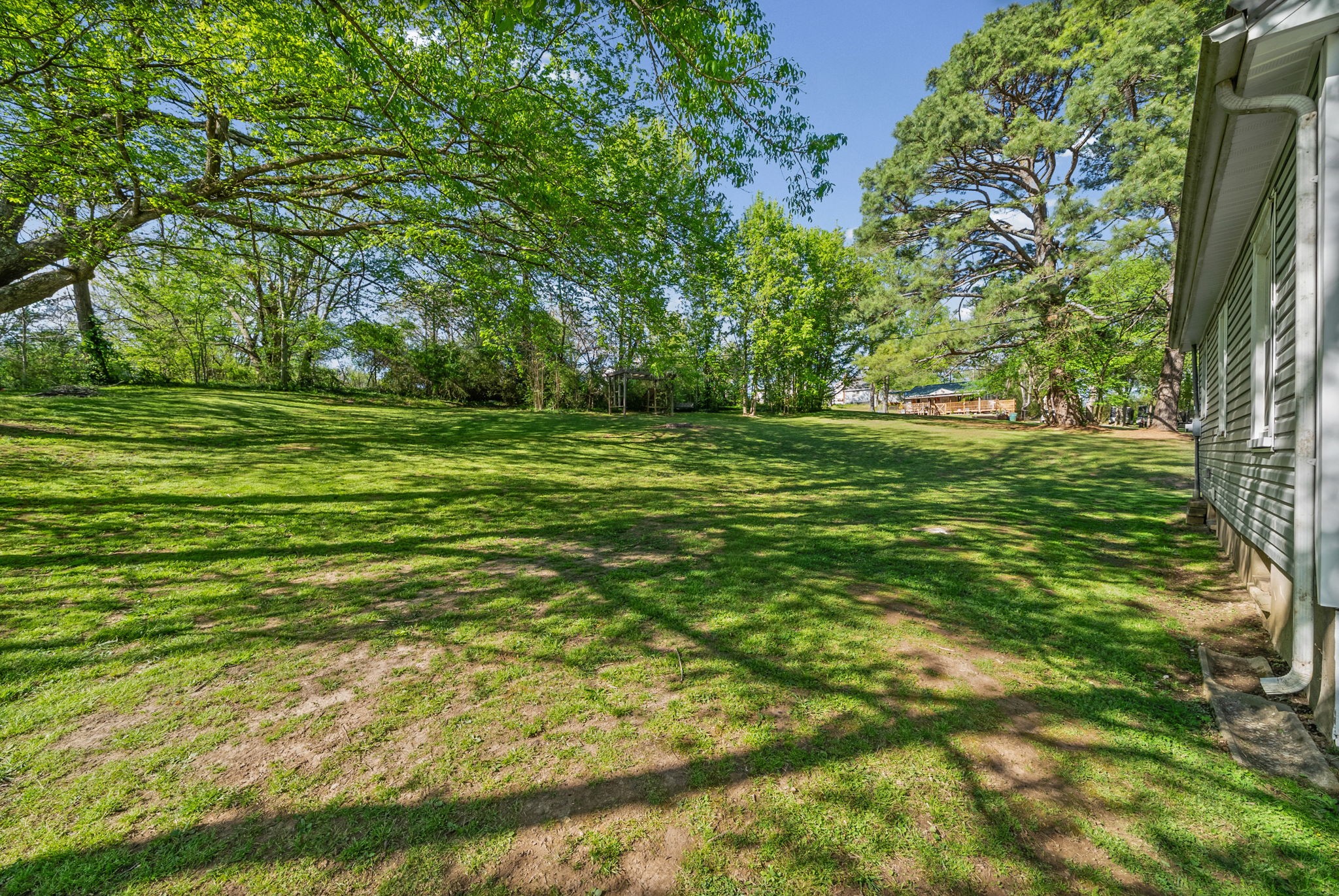59 Perry Street Cadiz, KY 42211 - Photo 25 of 32 a big yard with lots of green space and trees