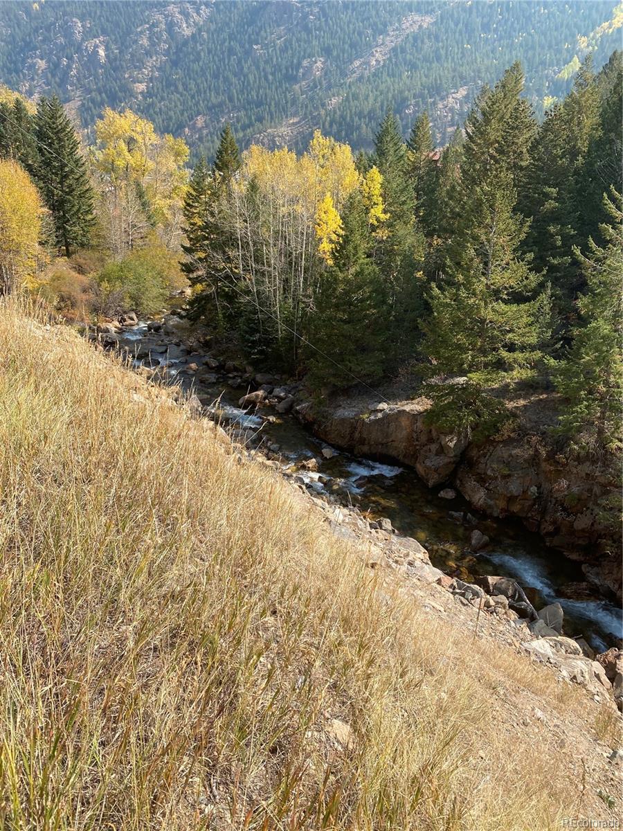 205 Loop Drive Georgetown, CO 80444 - Photo 2 of 6