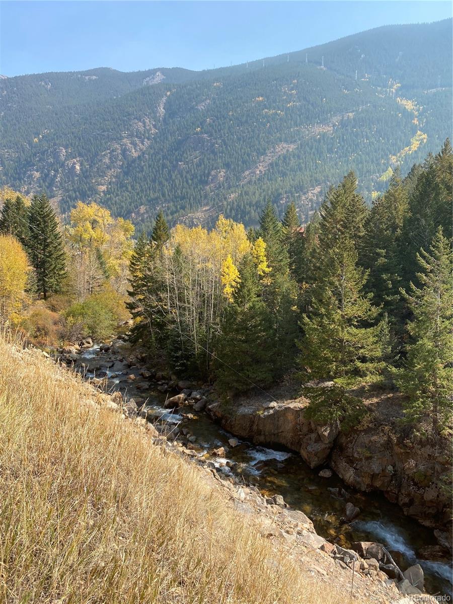 205 Loop Drive Georgetown, CO 80444 - Photo 3 of 6