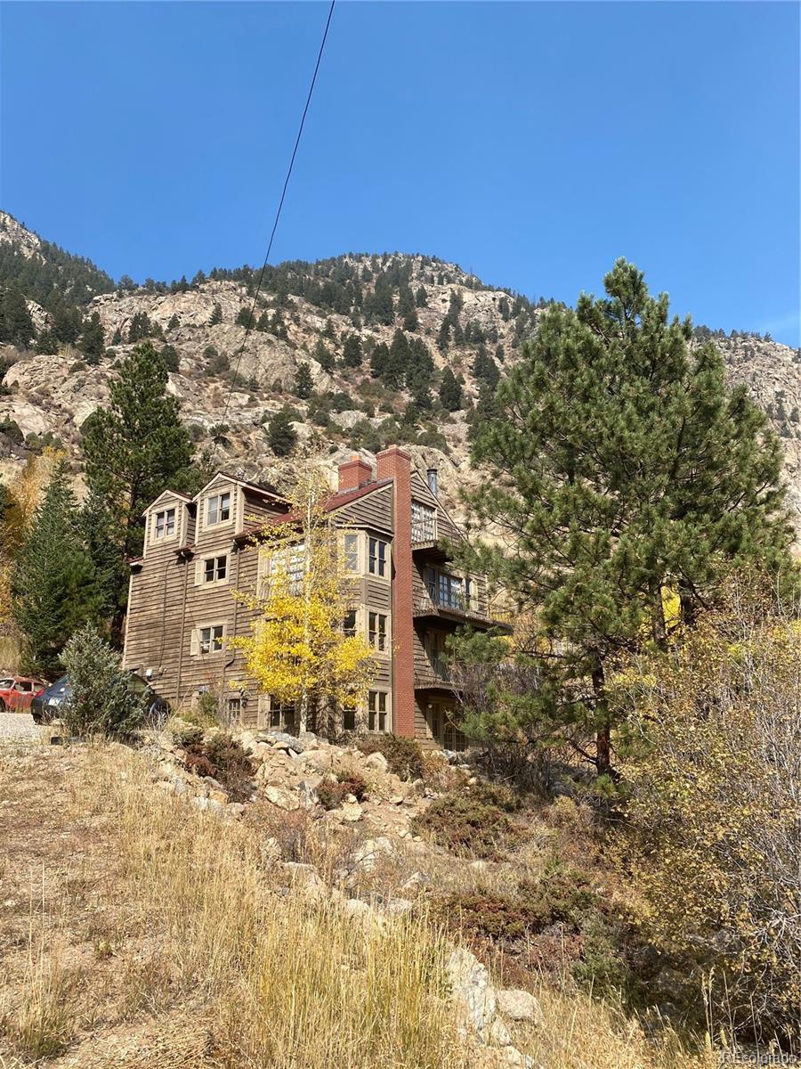 205 Loop Drive Georgetown, CO 80444 - Photo 4 of 6