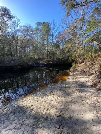 $44,000 | Fonigan Road, Sopchoppy, FL 32358