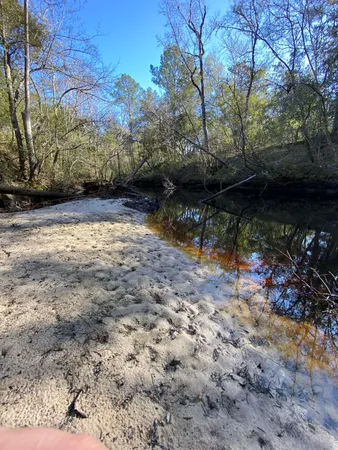 $44,000 | Fonigan Road, Sopchoppy, FL 32358