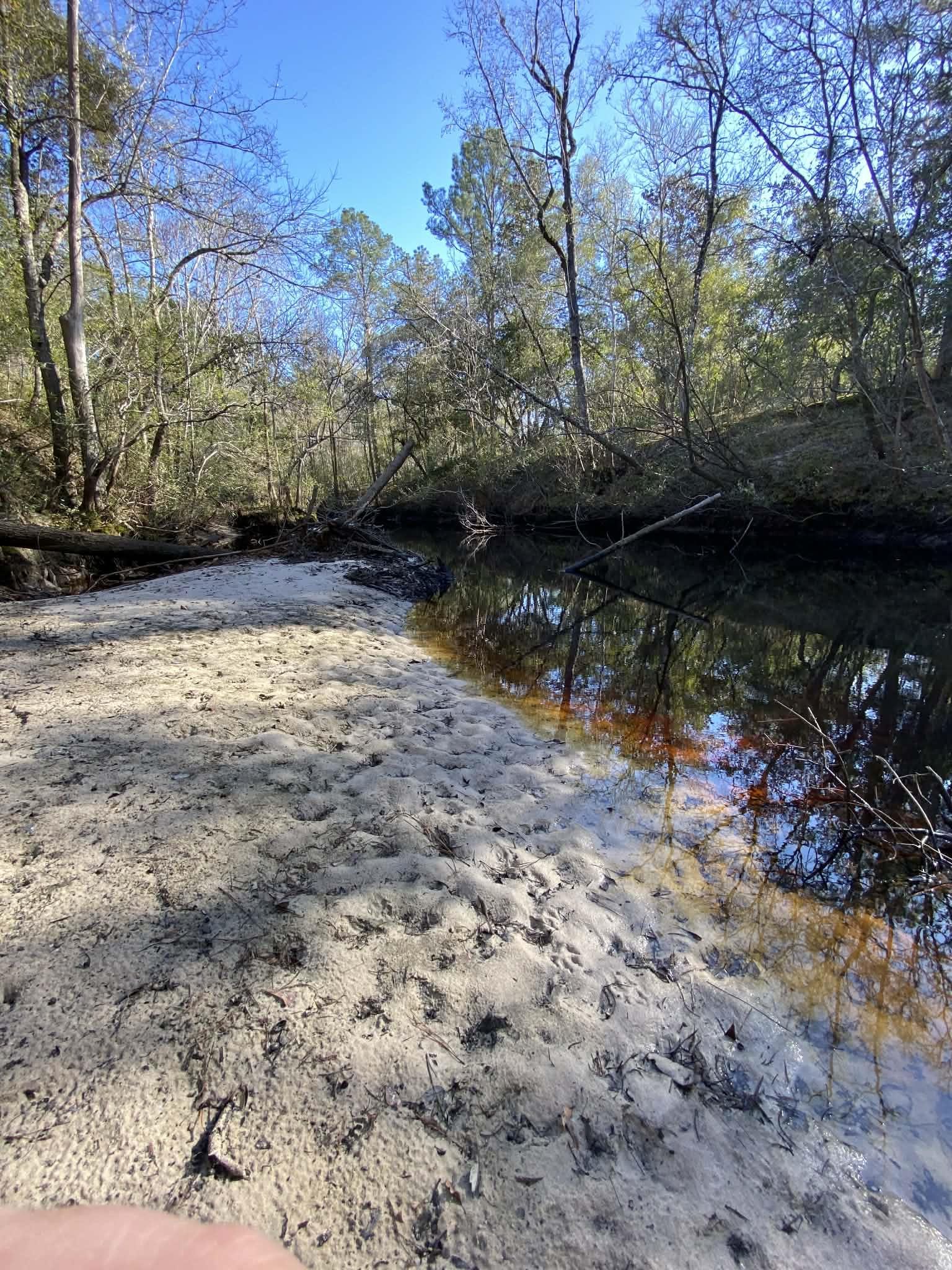 Fonigan Road Sopchoppy, FL 32358 - Photo 2 of 6