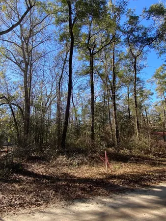 $44,000 | Fonigan Road, Sopchoppy, FL 32358