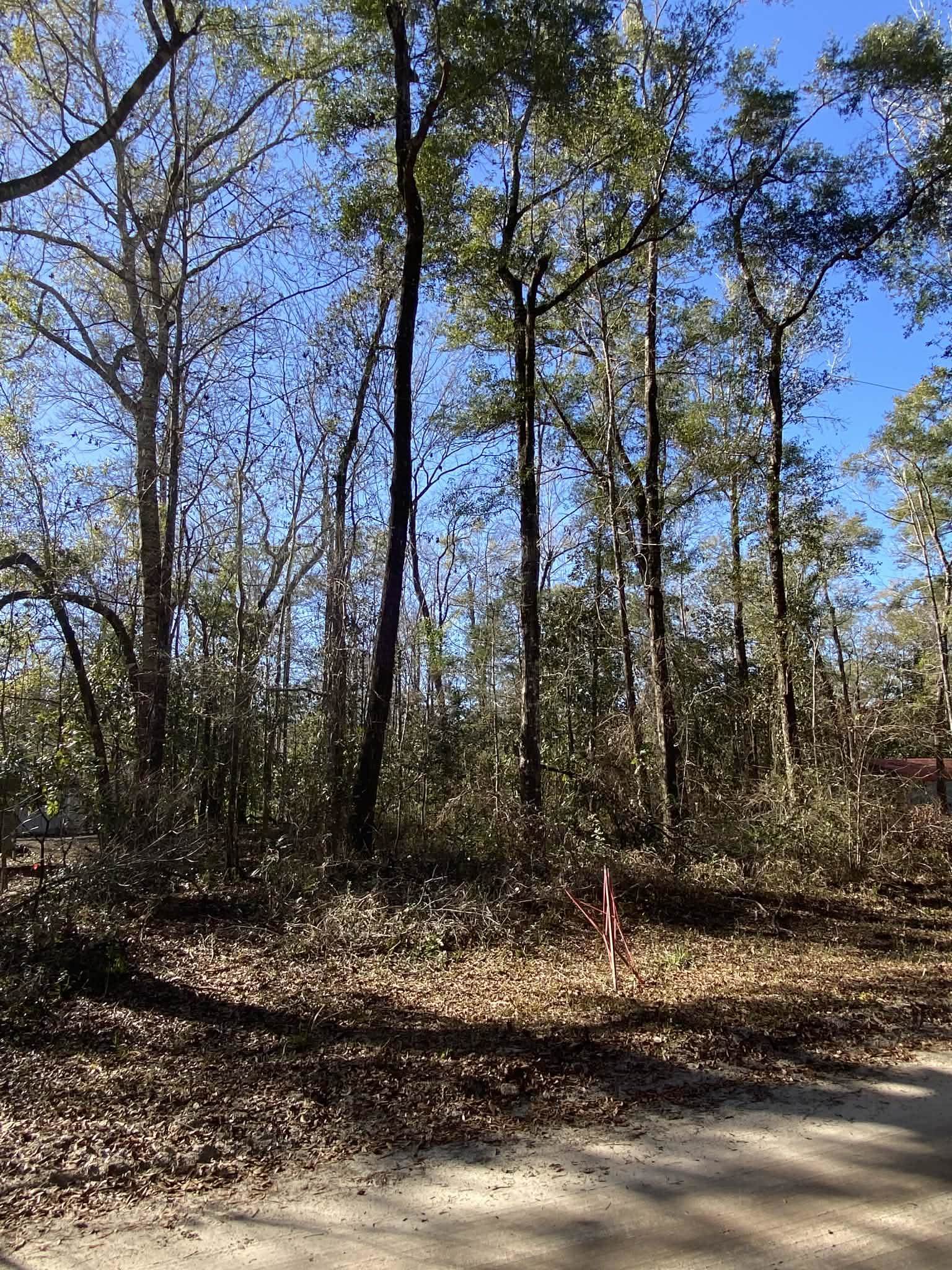 Fonigan Road Sopchoppy, FL 32358 - Photo 3 of 6