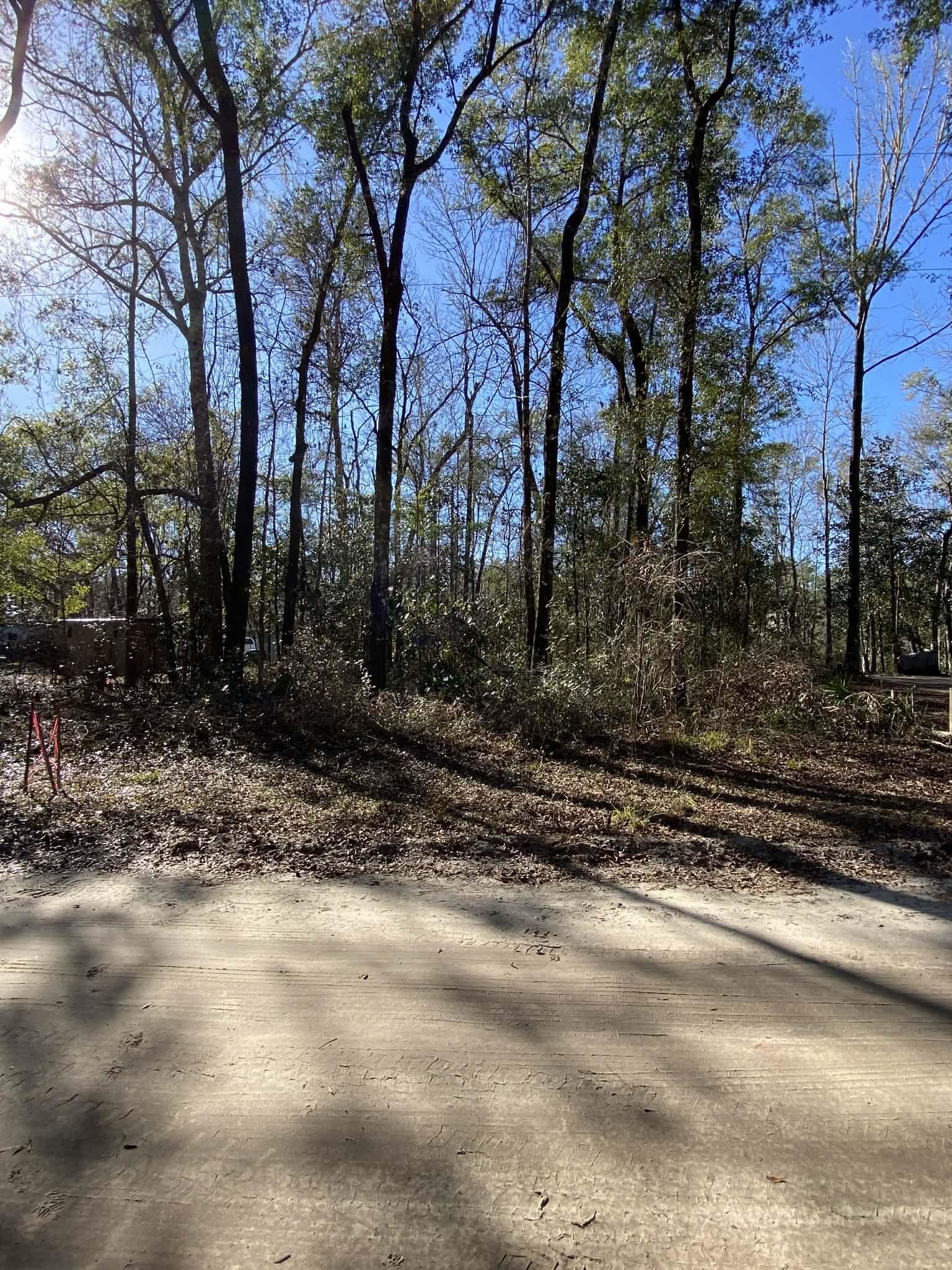 Fonigan Road Sopchoppy, FL 32358 - Photo 4 of 6