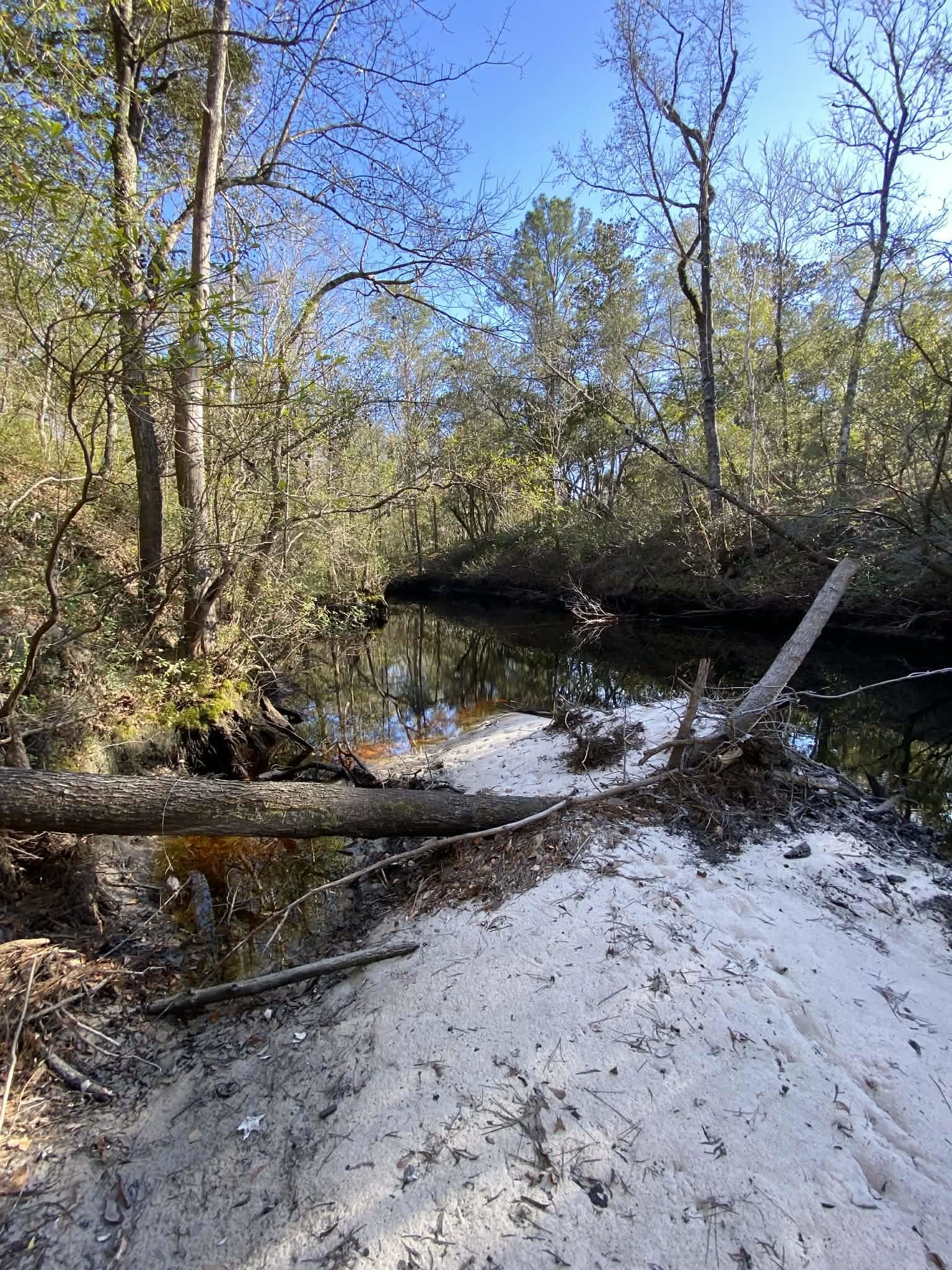 Fonigan Road Sopchoppy, FL 32358 - Photo 5 of 6
