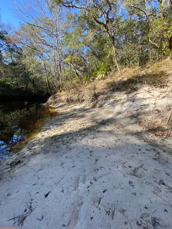 $44,000 | Fonigan Road, Sopchoppy, FL 32358