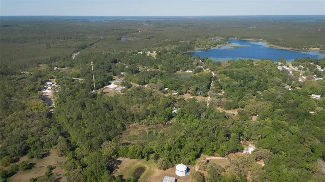 a view of a bunch of trees