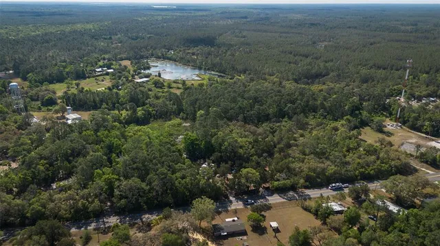 a view of a yard with plants and large trees