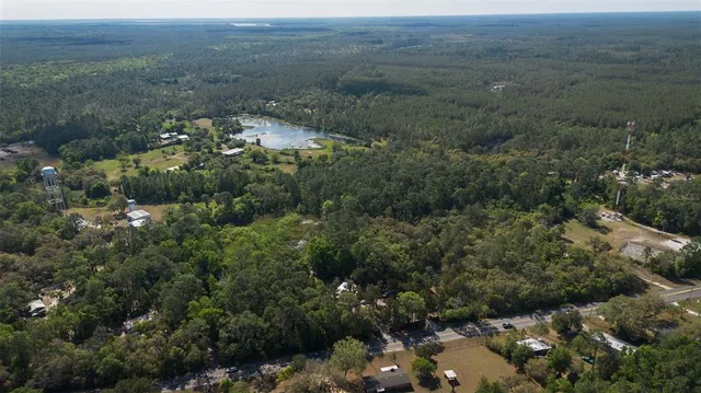 a view of a forest with a houses