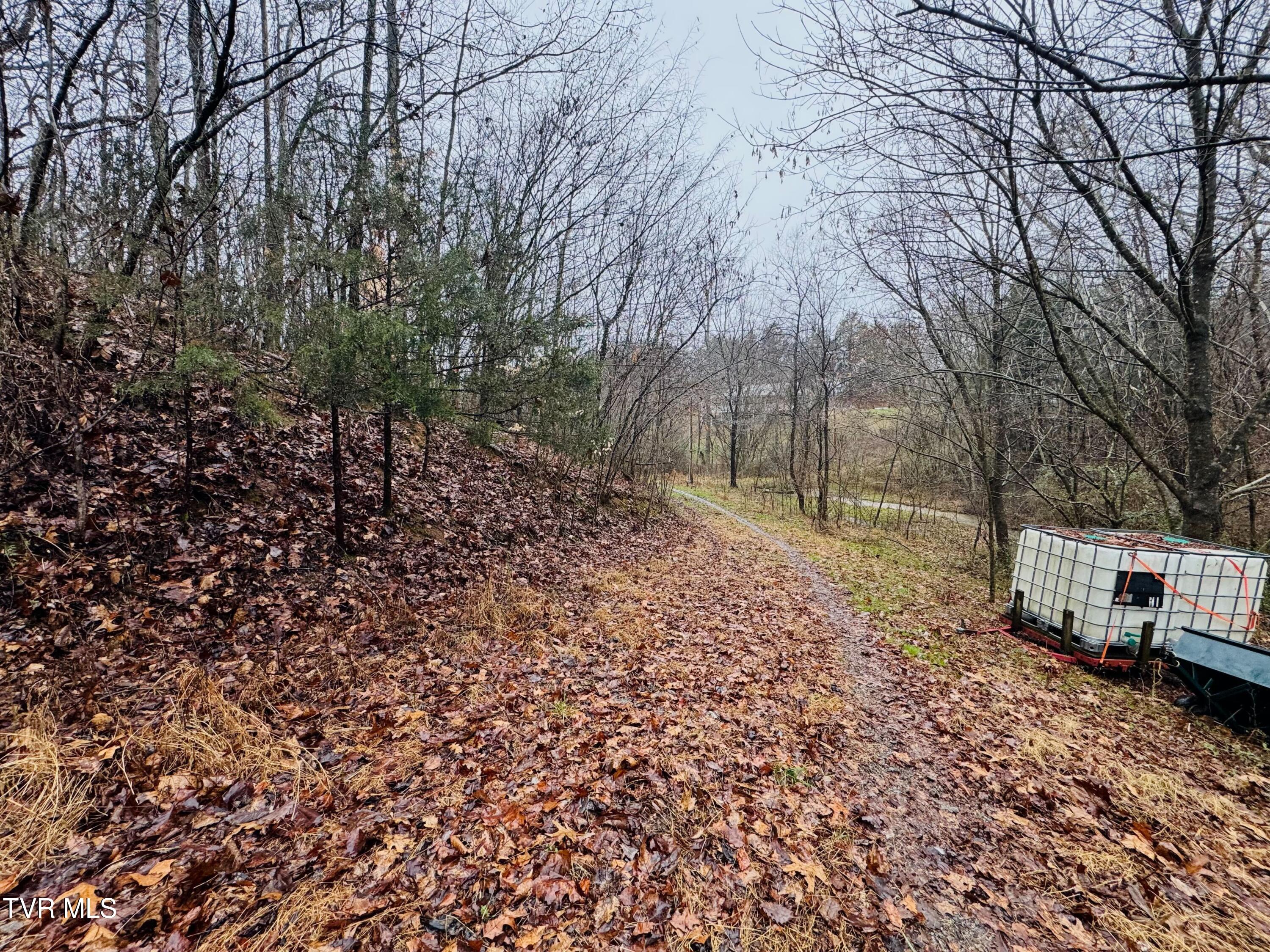 115 Old Cemetery Road Greeneville, TN 37745 - Photo 12 of 17 IMG_6630
