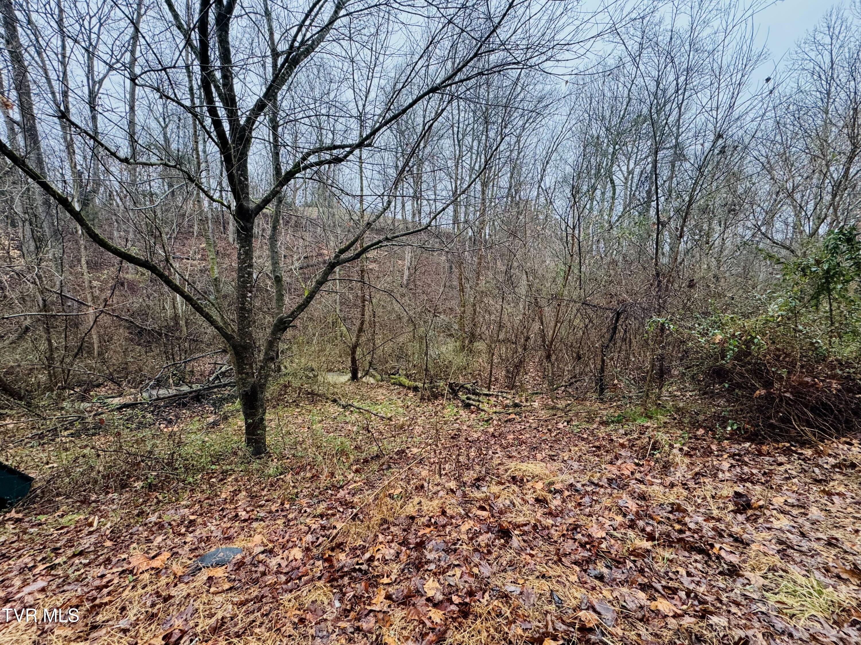 115 Old Cemetery Road Greeneville, TN 37745 - Photo 13 of 17 IMG_6631