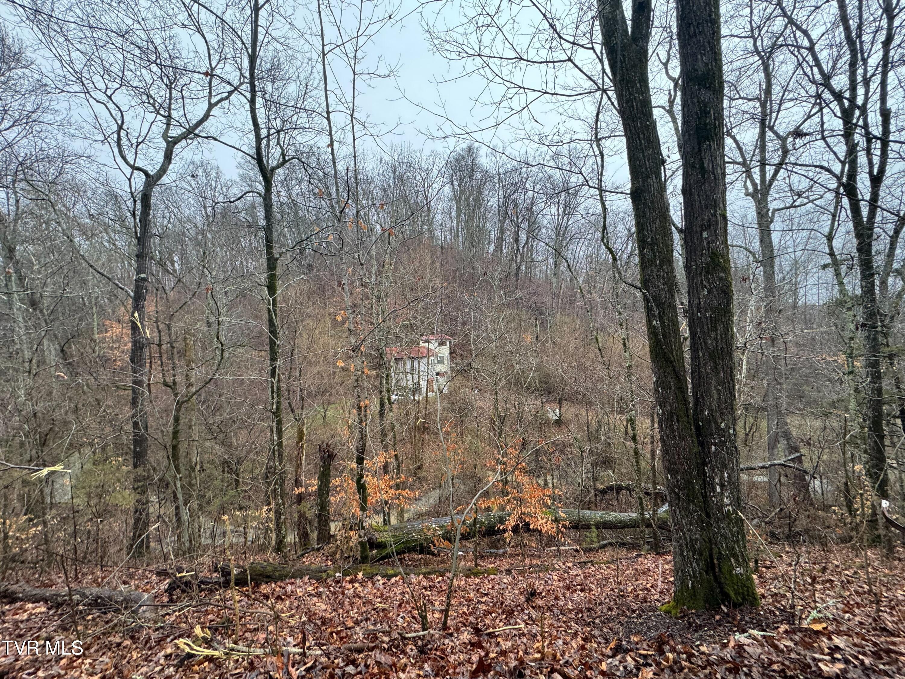 115 Old Cemetery Road Greeneville, TN 37745 - Photo 17 of 17 IMG_6646