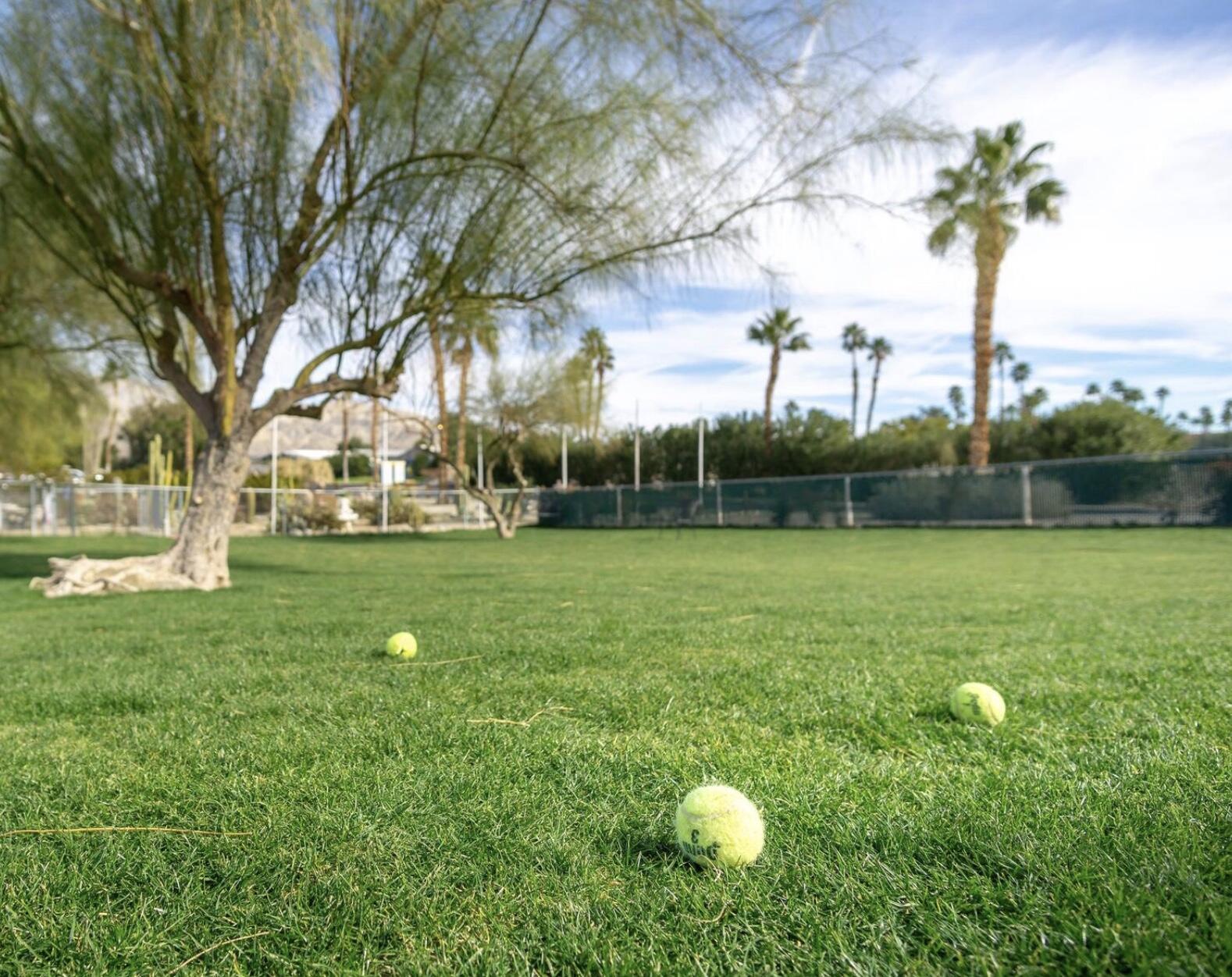 74711 Dillon Road Desert Hot Springs, CA 92241 - Photo 22 of 41 a view of outdoor space with garden and trees