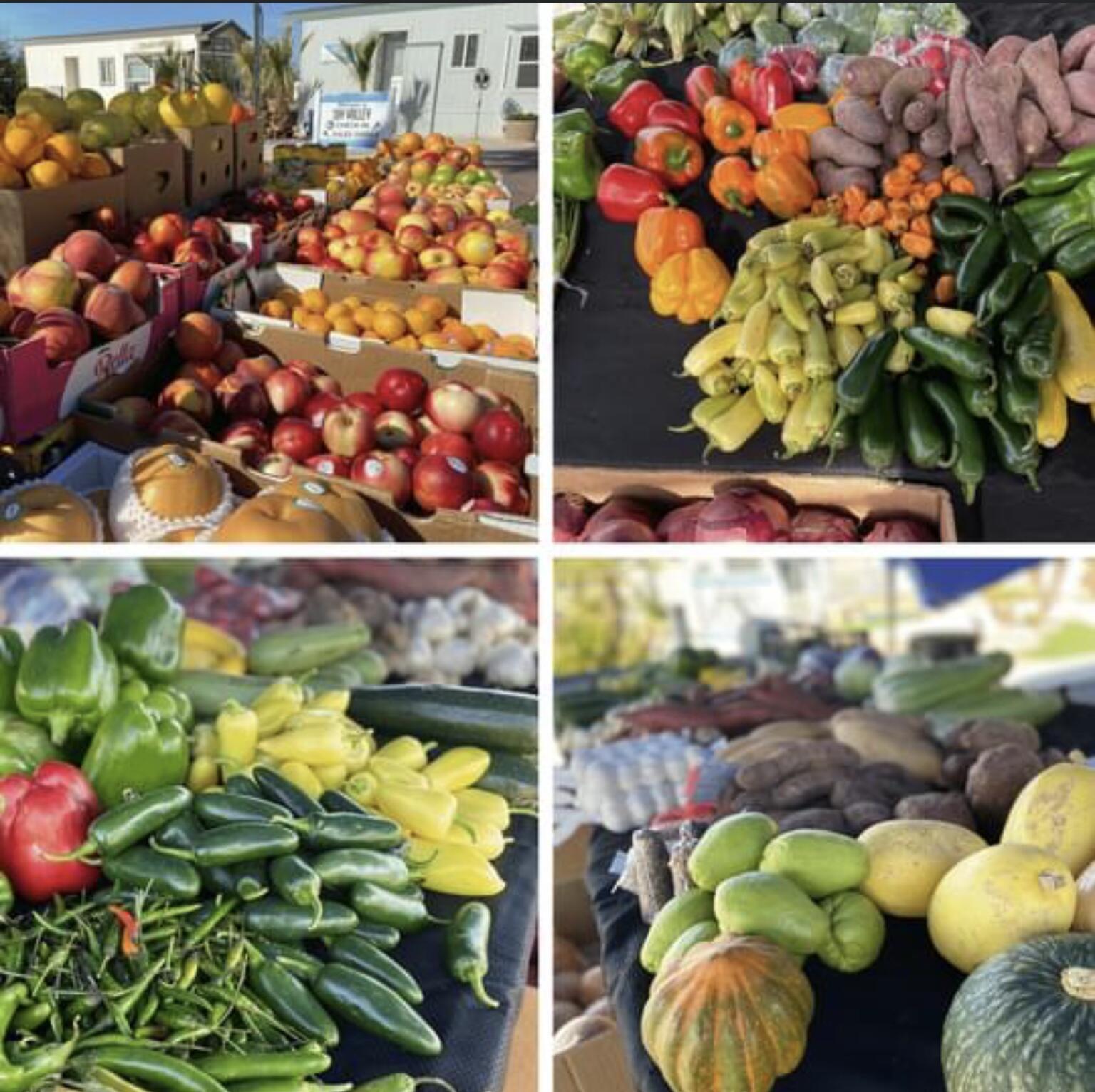74711 Dillon Road Desert Hot Springs, CA 92241 - Photo 26 of 41 a view of a bunch of flowers