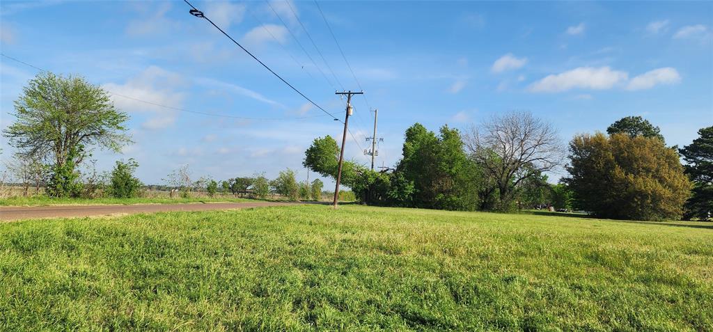 Tbd Buddy Ruth Road Trinidad, TX 75163 - Photo 1 of 7 a view of a field with an trees in the background
