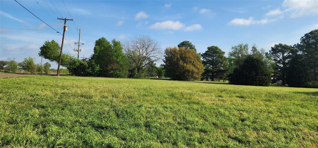 Tbd Buddy Ruth Road Trinidad, TX 75163 - Photo 2 of 7 a view of a green field
