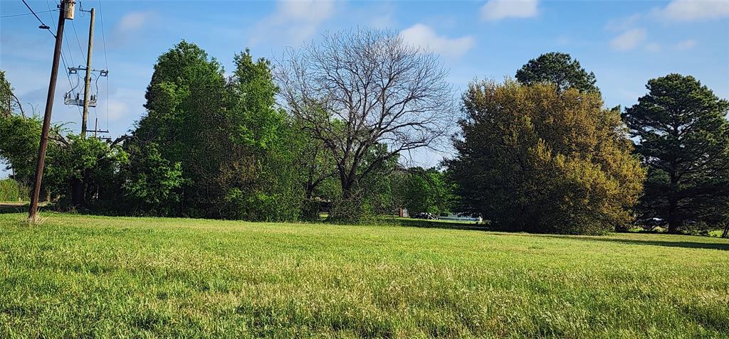 Tbd Buddy Ruth Road Trinidad, TX 75163 - Photo 3 of 7 a view of green field with trees in the background