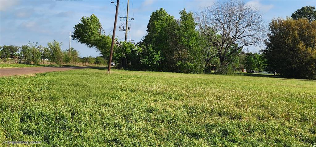 Tbd Buddy Ruth Road Trinidad, TX 75163 - Photo 4 of 7 a view of a field with plants and trees