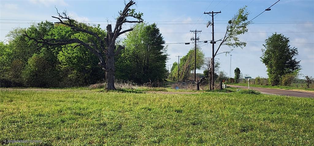 Tbd Buddy Ruth Road Trinidad, TX 75163 - Photo 6 of 7 a backyard of a house with lots of green space