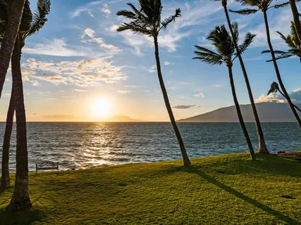 $4,999,999 | 1656 Halama Street, Kihei, HI 96753