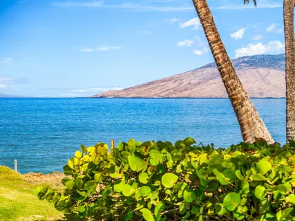 $4,999,999 | 1656 Halama Street, Kihei, HI 96753